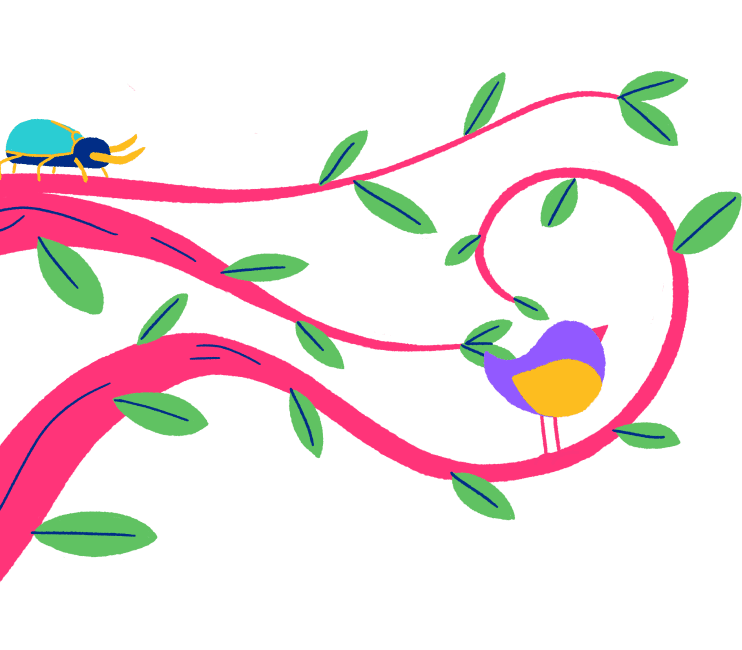 Right branches